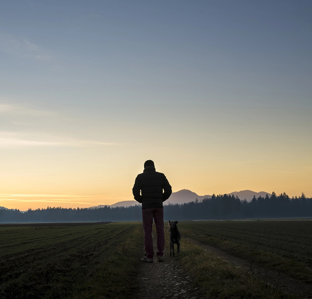 Man walking with dog mountain sunset